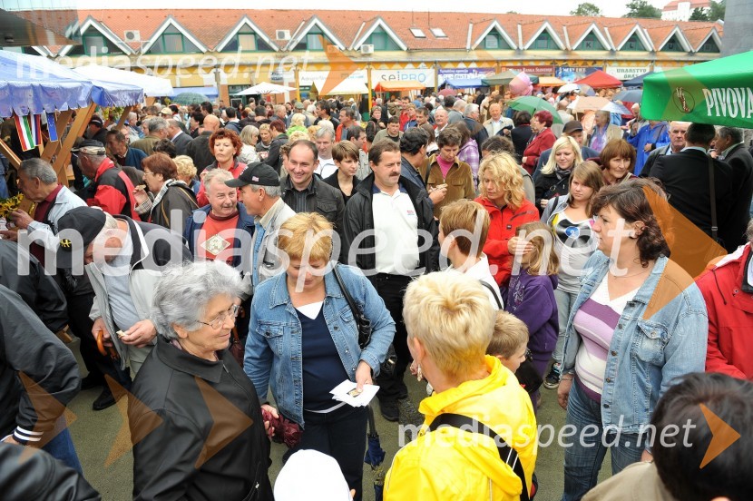 Lendavska trgatev 2010