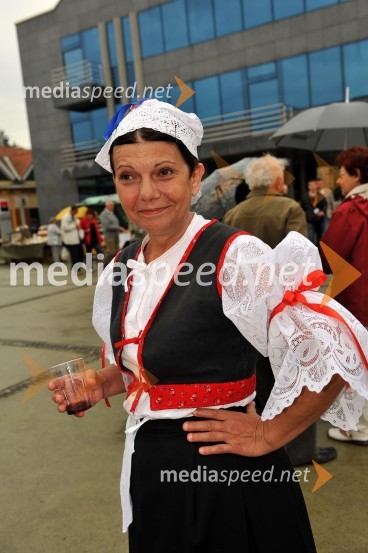 Lendavska trgatev 2010