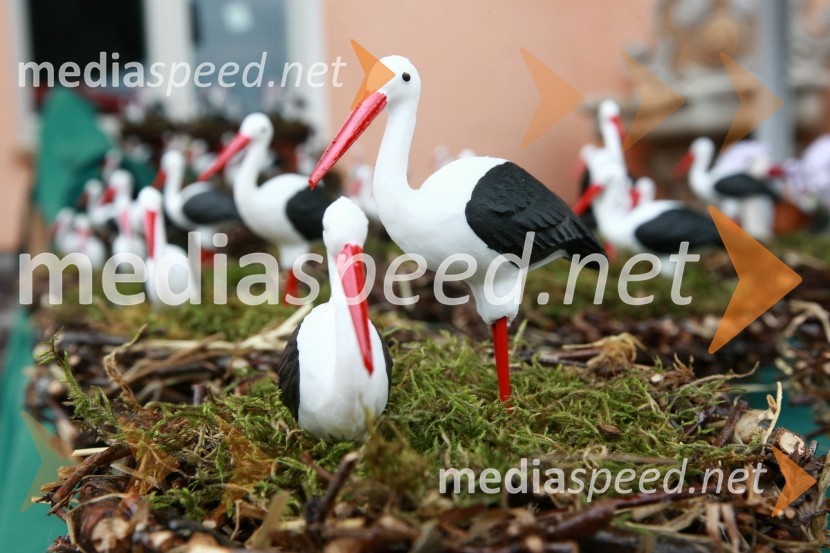 ŠtorkljeLendavska trgatev 2010