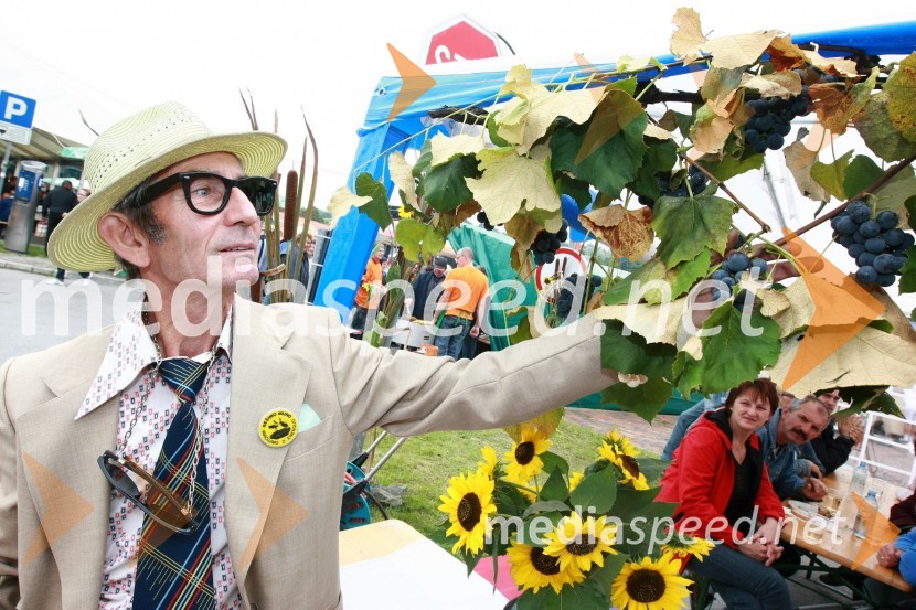 Lendavska trgatev 2010