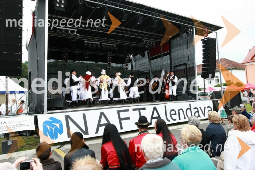 Lendavska trgatev 2010