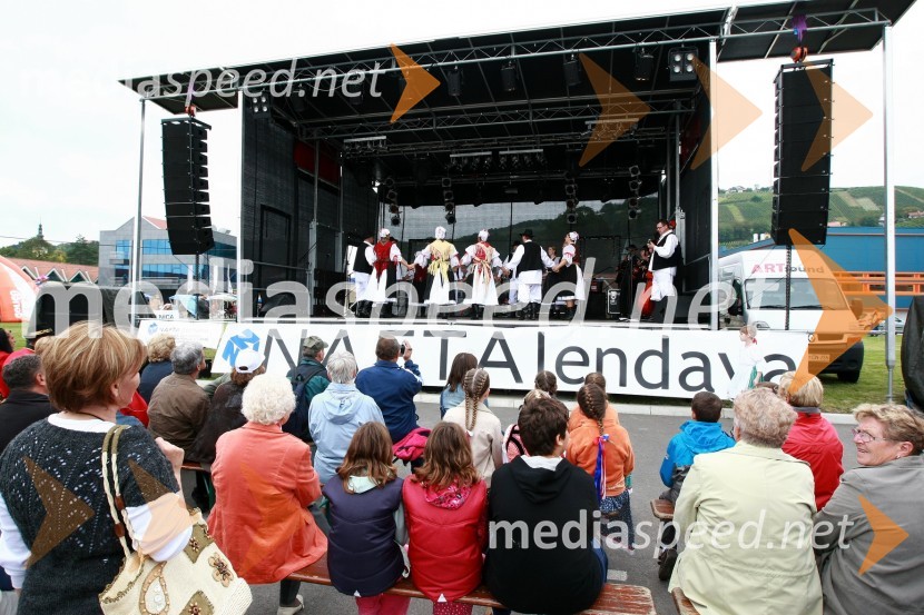 Lendavska trgatev 2010