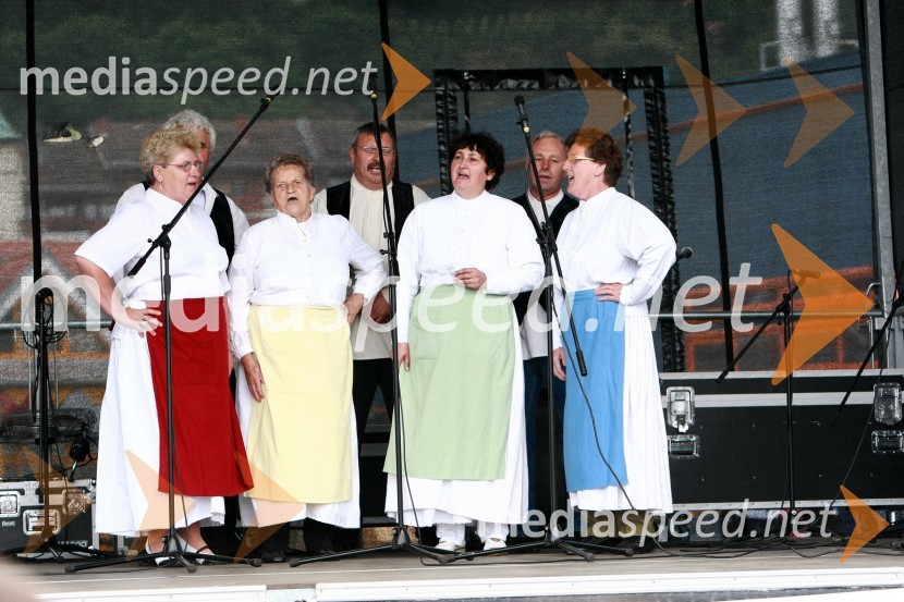 Lendavska trgatev 2010