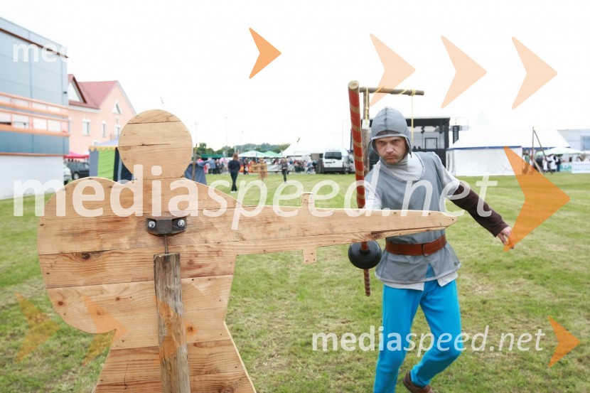 Denis SoldatLendavska trgatev 2010