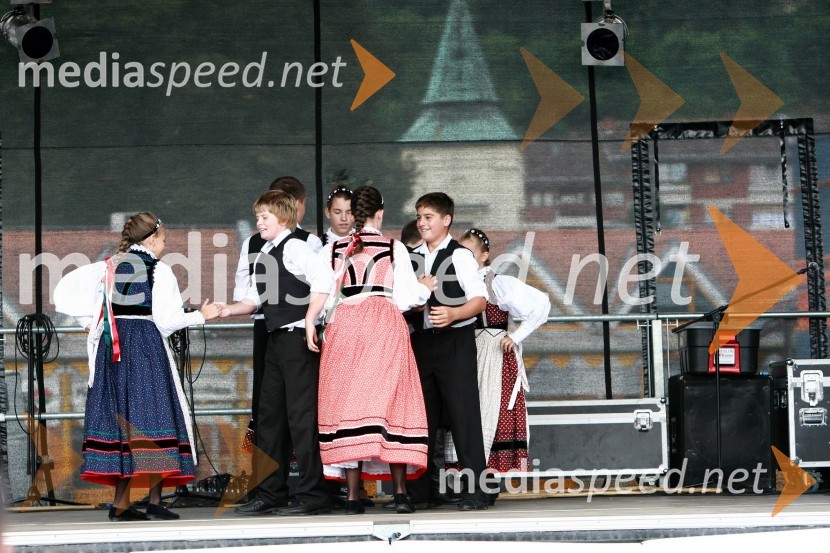 Lendavska trgatev 2010