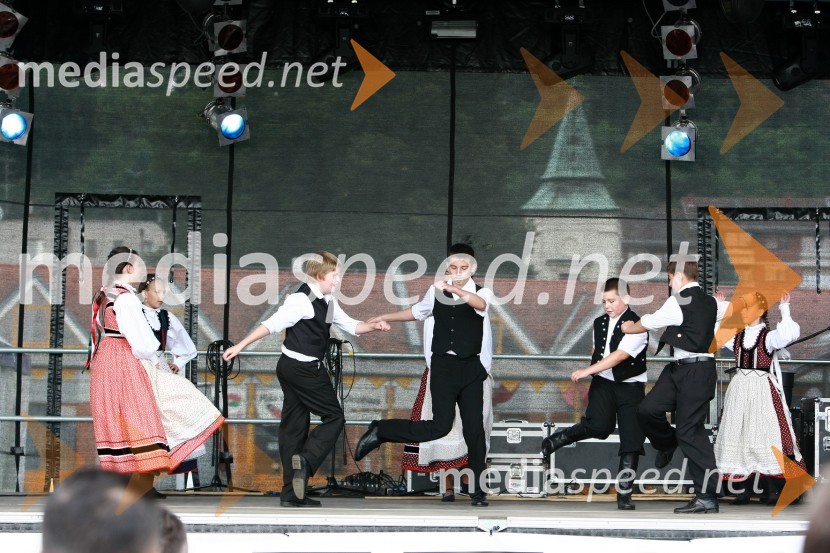 Lendavska trgatev 2010