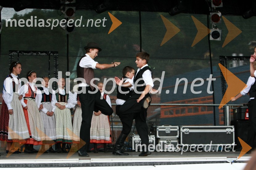 Lendavska trgatev 2010