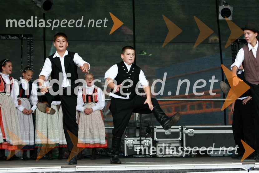 Lendavska trgatev 2010