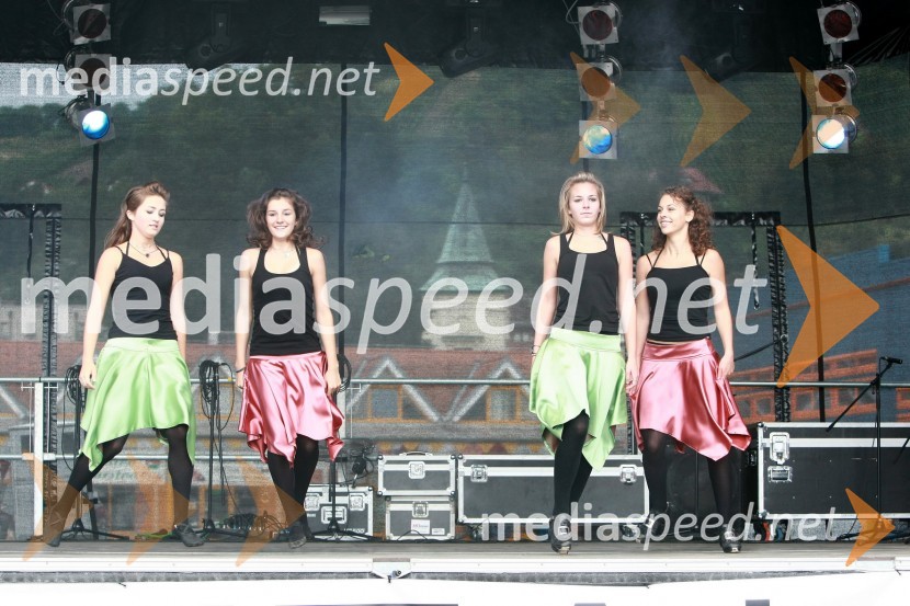 Lendavska trgatev 2010