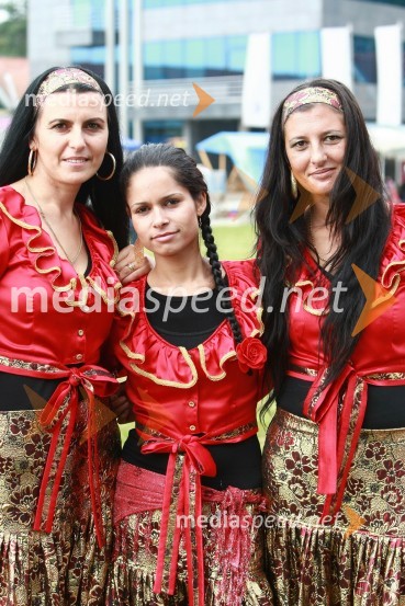 Lendavska trgatev 2010