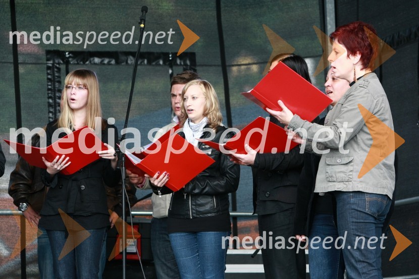 Komorni pevski zbor VitaLendavska trgatev 2010