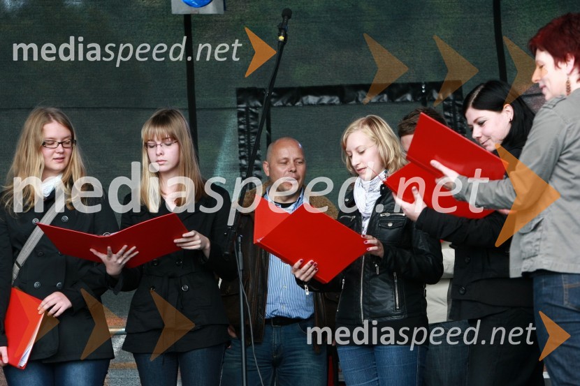 Komorni pevski zbor VitaLendavska trgatev 2010