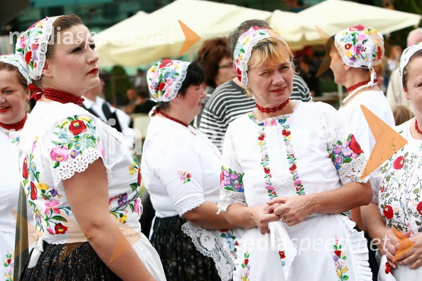 Lendavska trgatev 2010