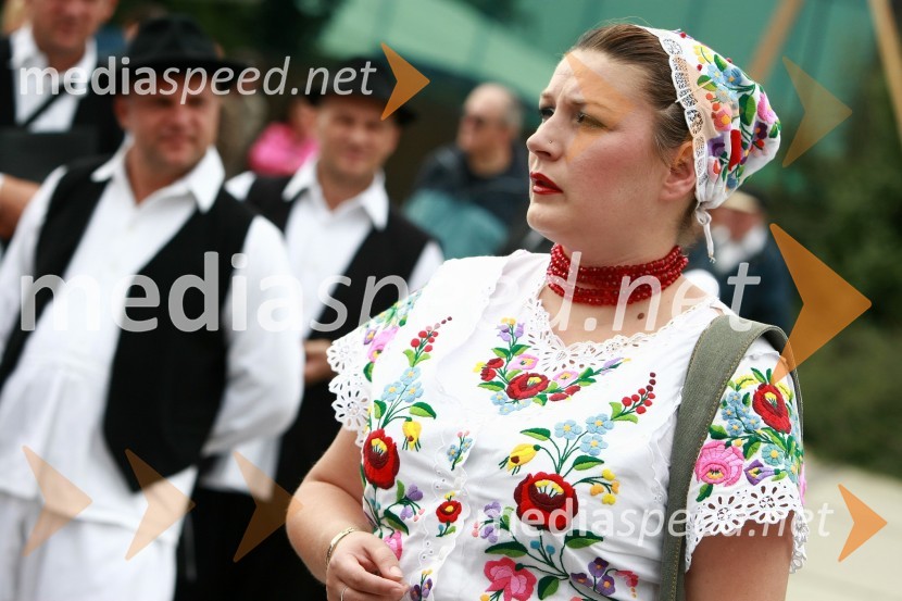 Lendavska trgatev 2010