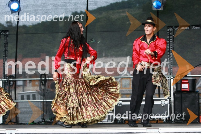 Lendavska trgatev 2010