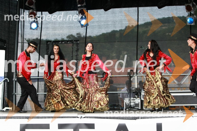 Lendavska trgatev 2010