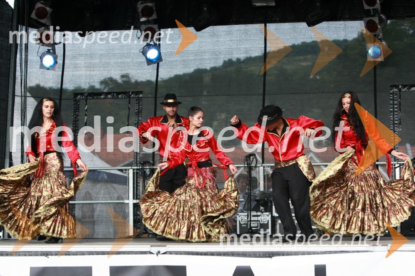 Lendavska trgatev 2010