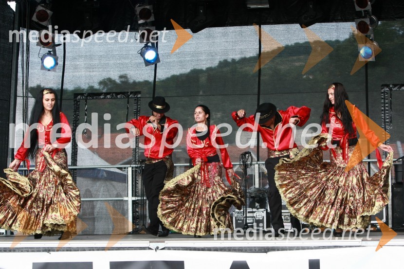 Lendavska trgatev 2010