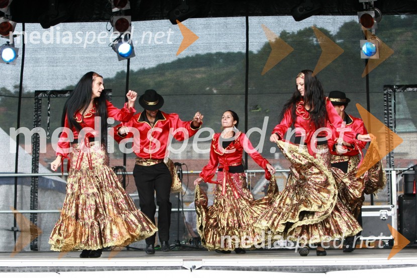 Lendavska trgatev 2010