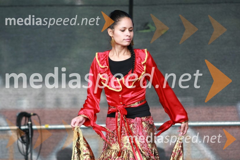 Lendavska trgatev 2010