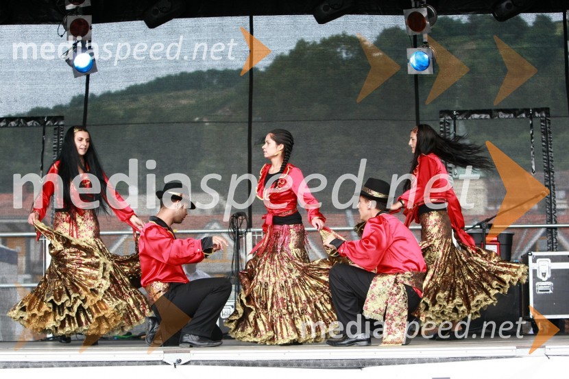 Lendavska trgatev 2010