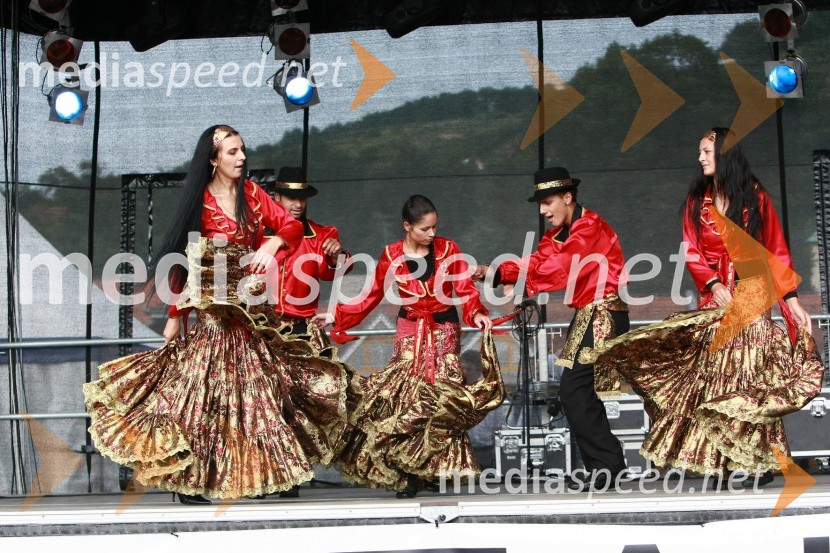 Lendavska trgatev 2010