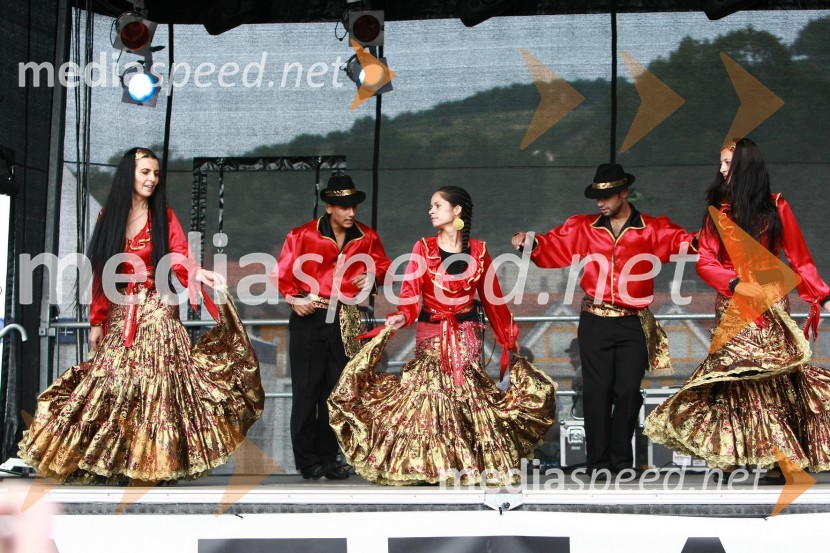 Lendavska trgatev 2010