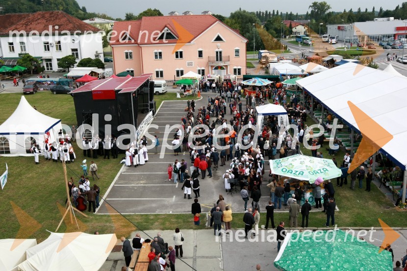 Lendavska trgatev 2010