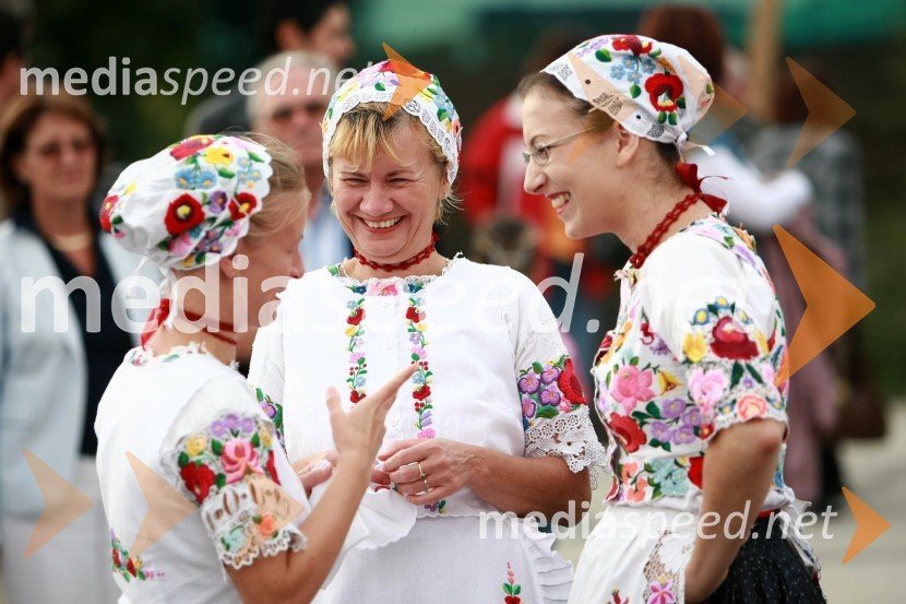 Lendavska trgatev 2010