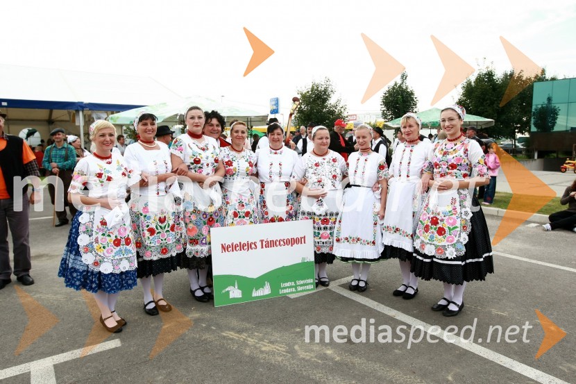 Lendavska trgatev 2010