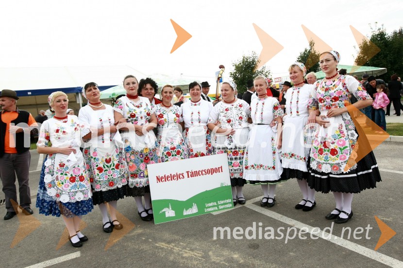 Lendavska trgatev 2010