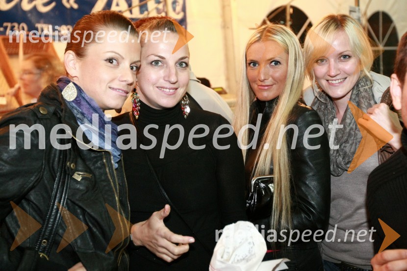 Lendavska trgatev 2010