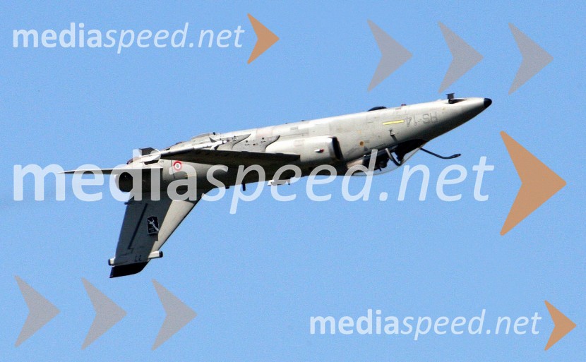 50 let Frecce Tricolore, letalski miting