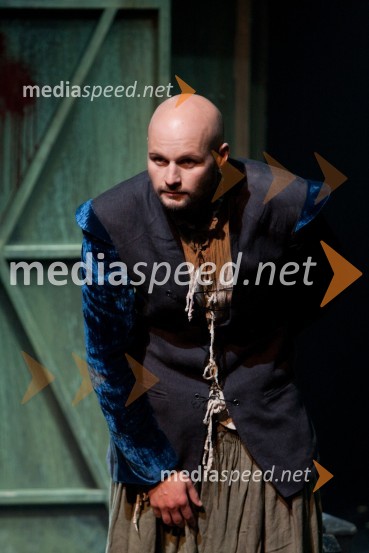 Jaka Lah, igralecRomeo in Julija, premiera v MGL in podelitev 23. Dnevnikove nagrade