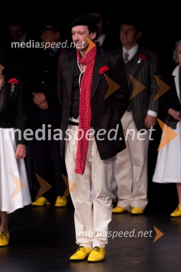 Miha Nemec, igralecObisk stare gospe, premiera SNG Nova Gorica