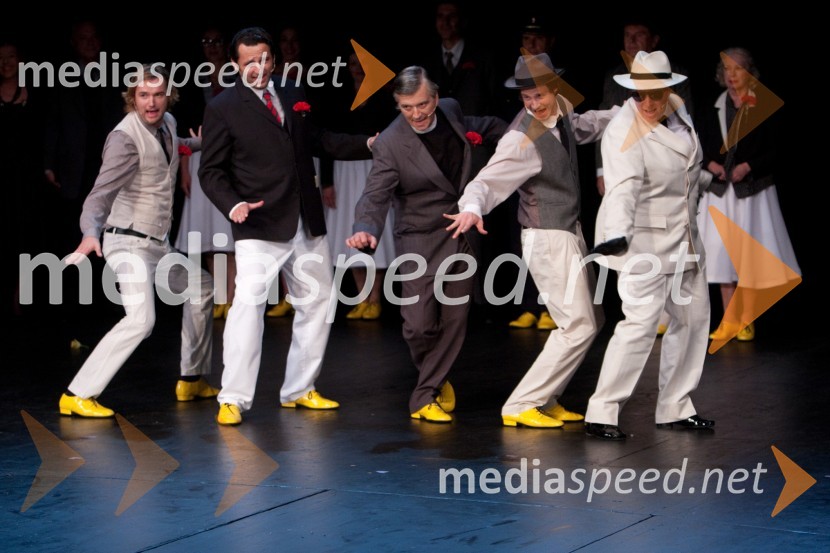 Kristijan Guček, igralec, Gorazd Jakomini, igralec, Iztok Mlakar, igralec, Peter Harl, igralec in Ana Facchini, igralkaObisk stare gospe, premiera SNG Nova Gorica