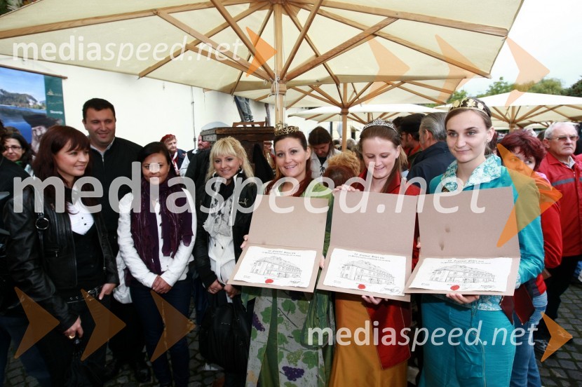 Tatjana Caf, nekdanja Ptujska vinska kraljica, Martina Rebula, kraljica terana, Polona Divjak, prva Cerkvenjaška vinska kraljica, Tina Trbižan, Vipavska vinska kraljica in Andreja Plohl, vinska kraljica Radgonsko - Kapelskih goricTrgatev Stare trte v Mariboru