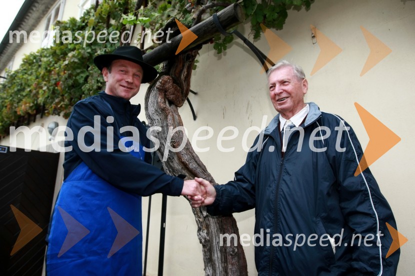Predaja poslov med starim in novim mestnim viničarjem - Stanislav Kocutar in Tone ZafošnikTrgatev Stare trte v Mariboru