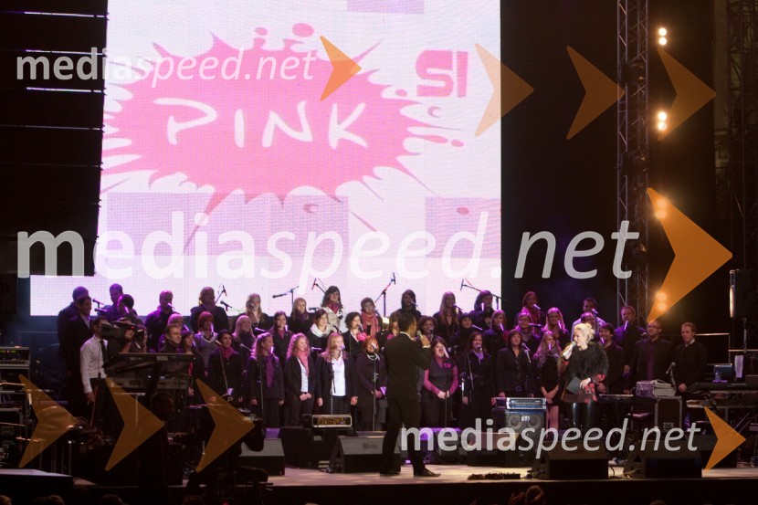 Koncert ob začetku delovanja Pink SiPink Si Sloveniji, koncert ob začetku delovanja v Sloveniji