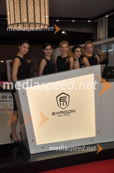 Dekleta Pariškega avtosalonaDekleta Pariškega avtosalona