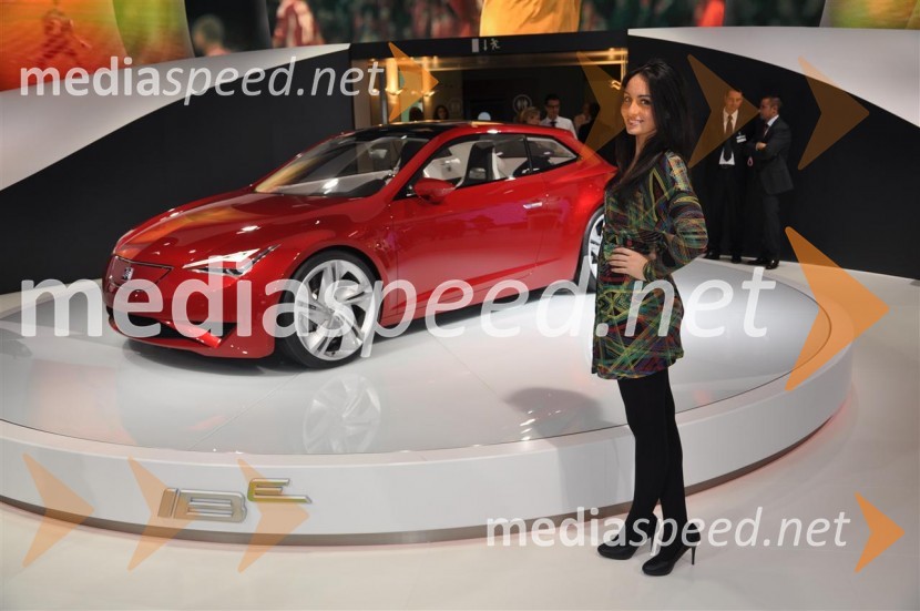 Dekleta Pariškega avtosalonaDekleta Pariškega avtosalona