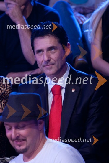 Stojan AuerBig brother slavnih 2010