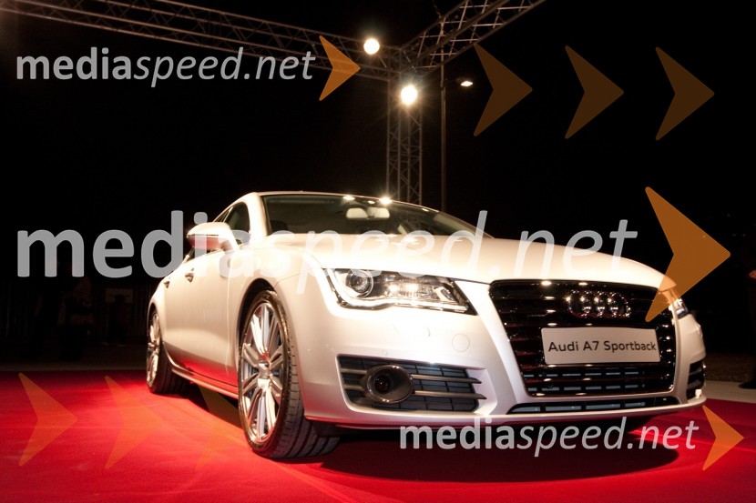 José Carreras, koncert opernega pevca