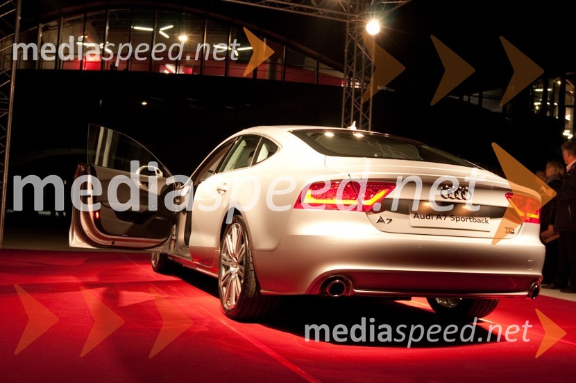 José Carreras, koncert opernega pevca