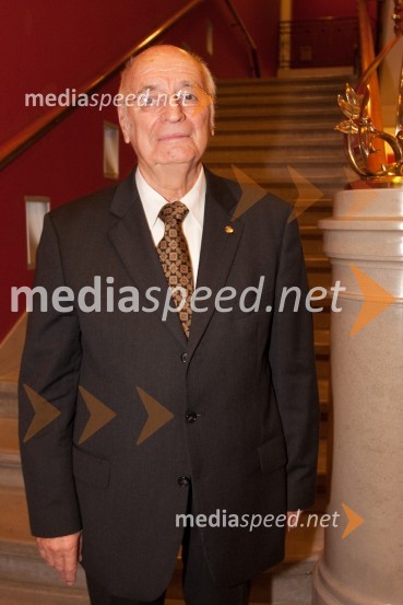 Stanko OjnikRotary club Ljubljana praznoval 20 let