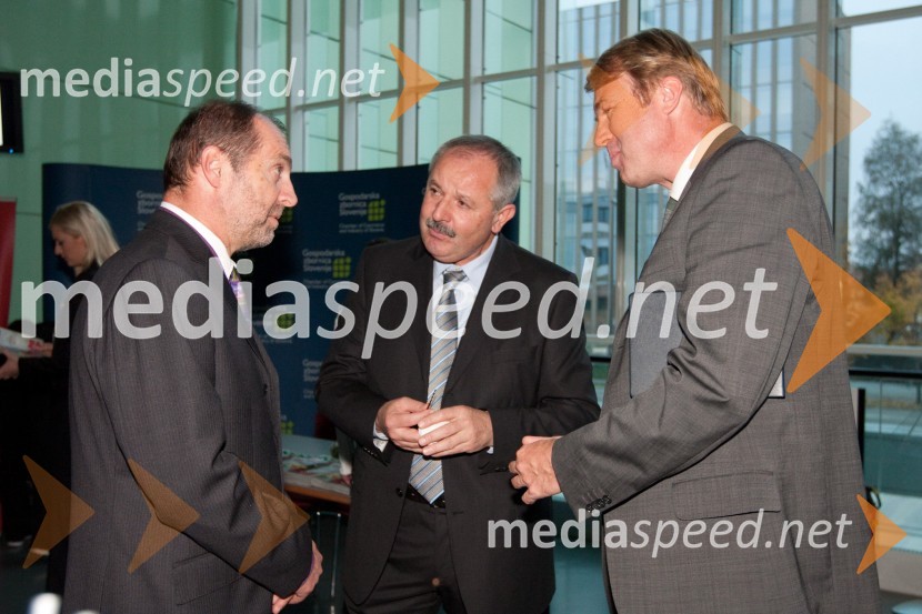 Samo Žargi, direktor dogodkov pri Delu revije, Marjan Mateta, podpredsednik GZS in Gregor Golobič, minister za visoko šolstvo, znanost in tehnologijoZnanstvenica leta 2010