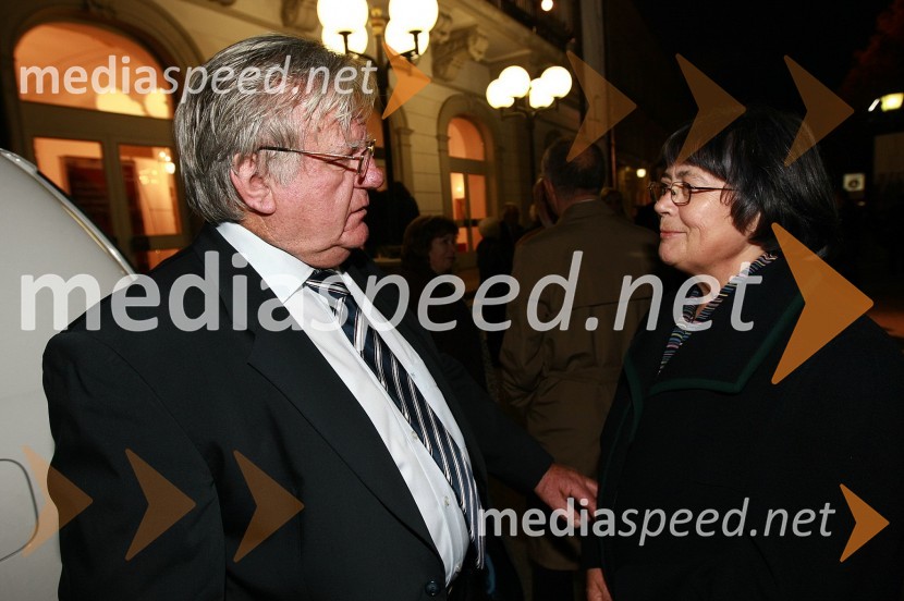 Tone Partljič, pisatelj, scenarist in predsednik sveta Borštnikovega srečanja in ...45. Borštnikovo srečanje, otvoritev festivala