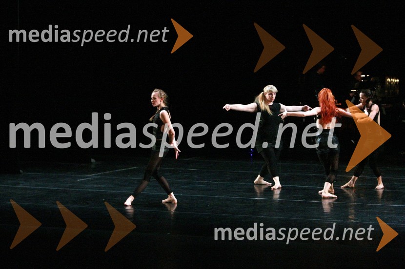 Plesna predstava Srh, zvok na koži45. Borštnikovo srečanje, otvoritev festivala