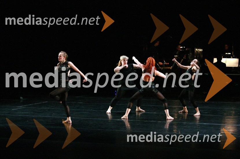 Plesna predstava Srh, zvok na koži45. Borštnikovo srečanje, otvoritev festivala