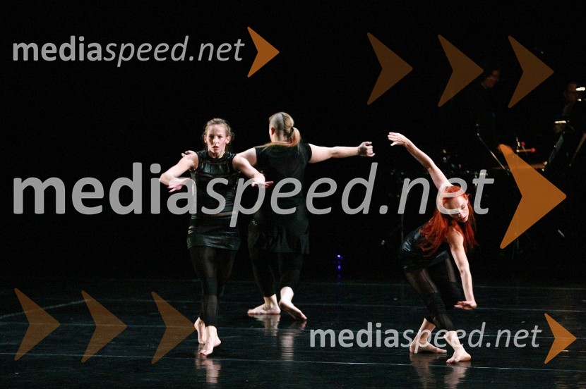 Plesna predstava Srh, zvok na koži45. Borštnikovo srečanje, otvoritev festivala